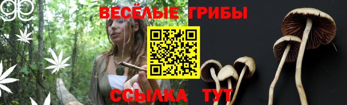 Галлюциногенные грибы GOLDEN TEACHER  где купить наркоту  Галлюциногенные грибы мицелий  Похвистнево  Вход с VPN 